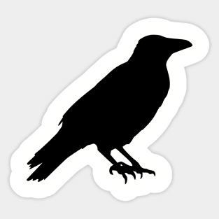 Raven bird black Sticker